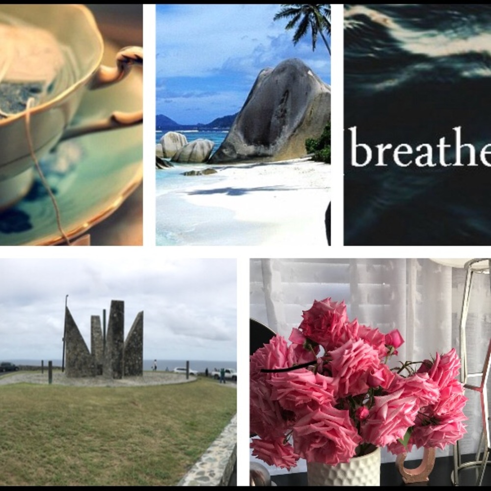 Meet your Posher, Jennifer!